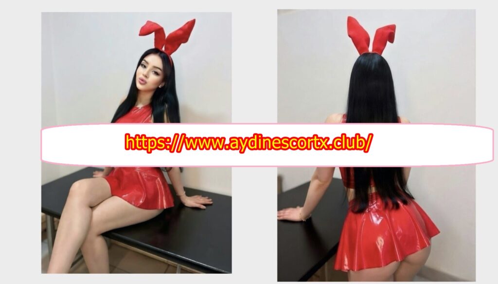 Tekirdağ escort hizmetleri